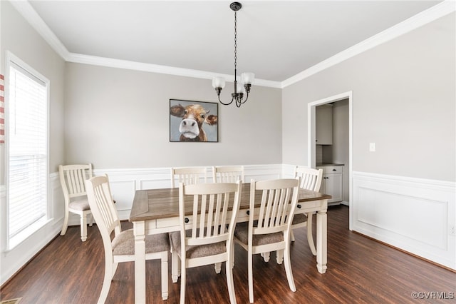 dining room featuring a chandelier, dark hardwood / wood-style flooring, a wealth of natural light, and ornamental molding