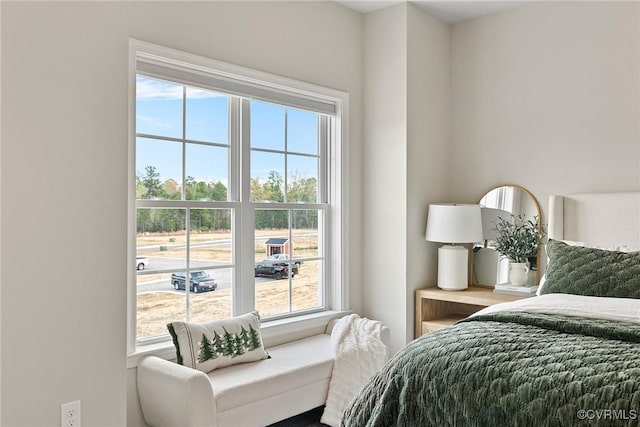 6412 Sanford Springs Cv, Midlothian, VA 23112 - view of bedroom