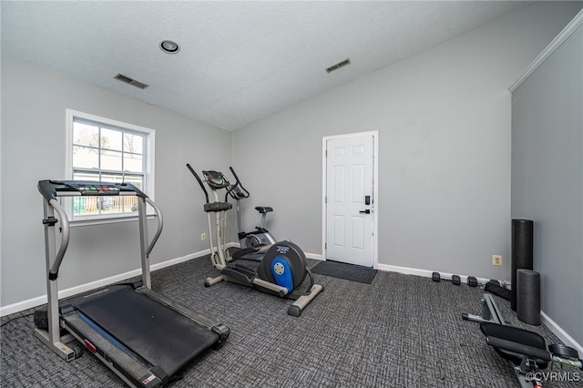 exercise room with carpet, a textured ceiling, and vaulted ceiling