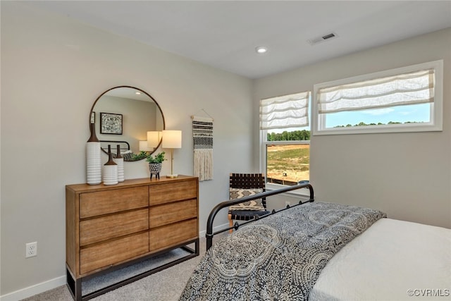 bedroom featuring carpet floors