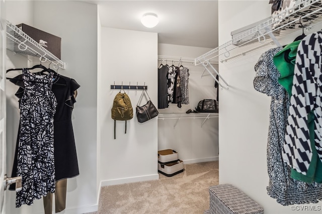 spacious closet featuring light colored carpet