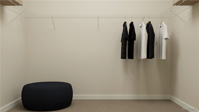 spacious closet featuring carpet flooring