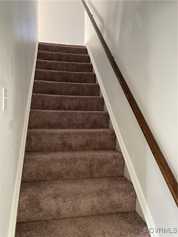 stairs featuring carpet flooring