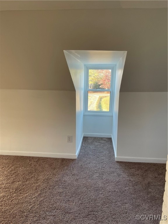 bonus room featuring carpet floors and vaulted ceiling