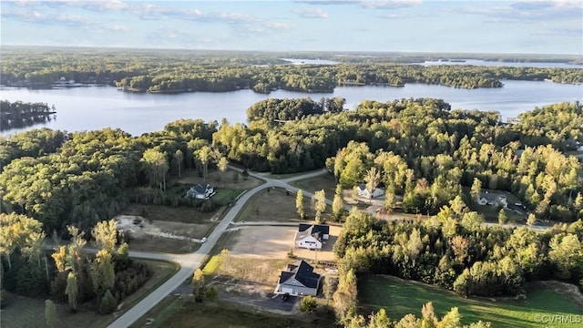 bird's eye view with a water view and a view of trees