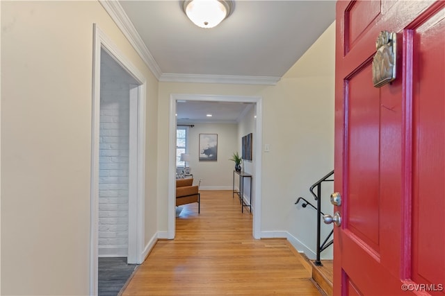 hallway featuring light wood-type flooring and crown molding