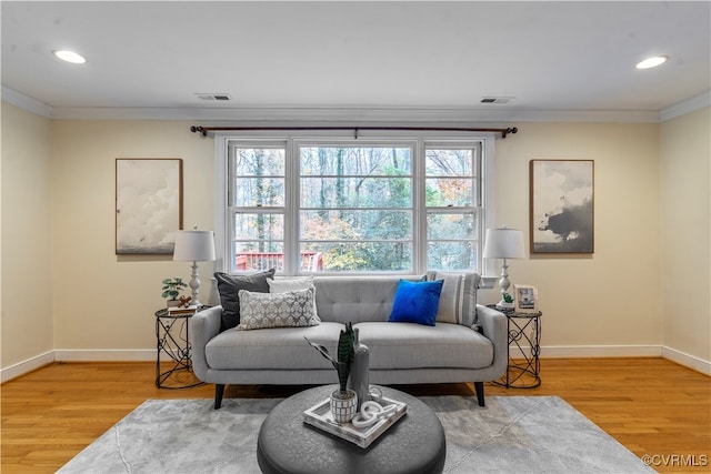 living room with wood-type flooring and ornamental molding