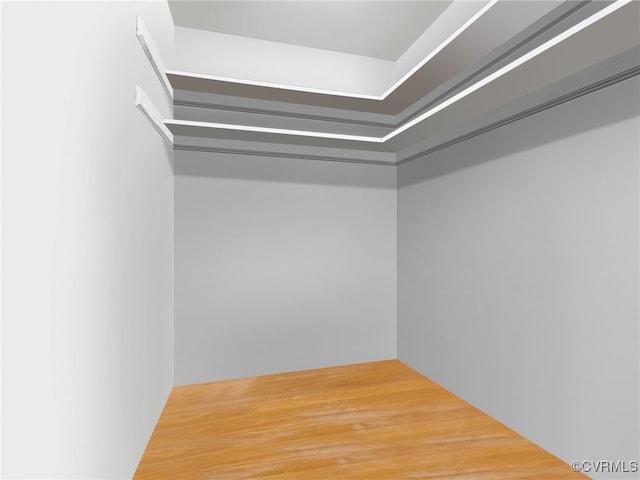 walk in closet featuring wood-type flooring