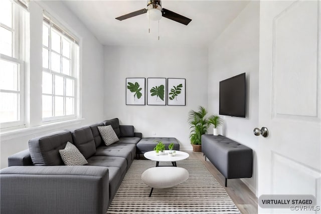 living room with ceiling fan and light wood-type flooring