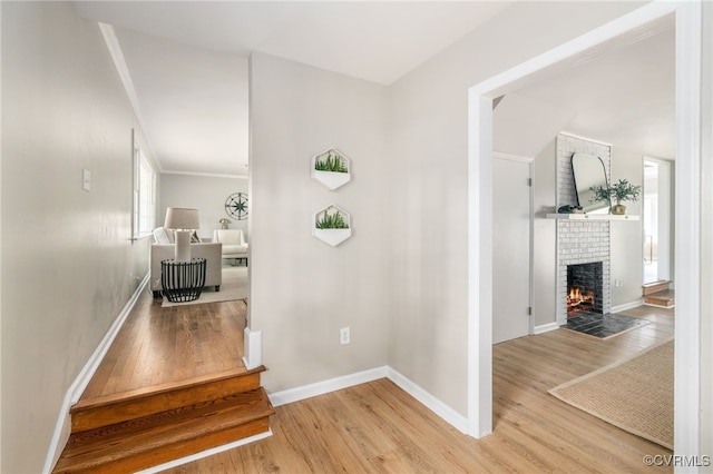 corridor featuring hardwood / wood-style floors and ornamental molding