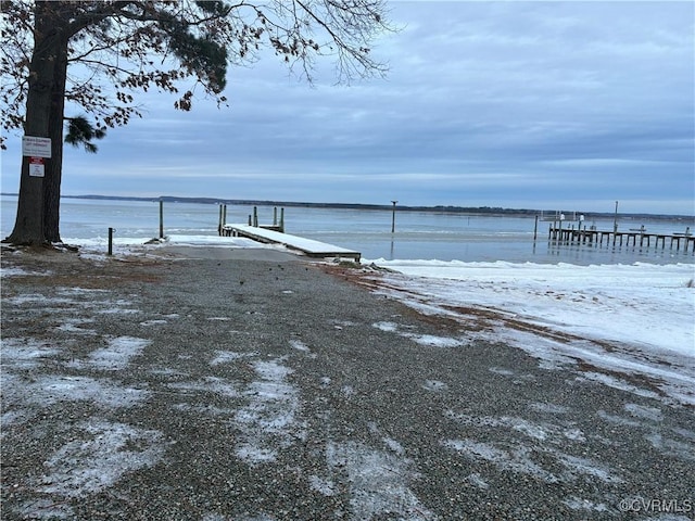 dock area with a water view