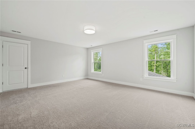 spare room featuring carpet and plenty of natural light