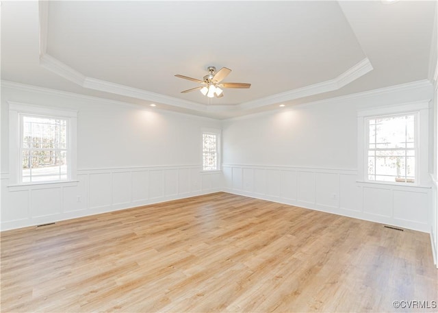 spare room featuring a raised ceiling and a wealth of natural light