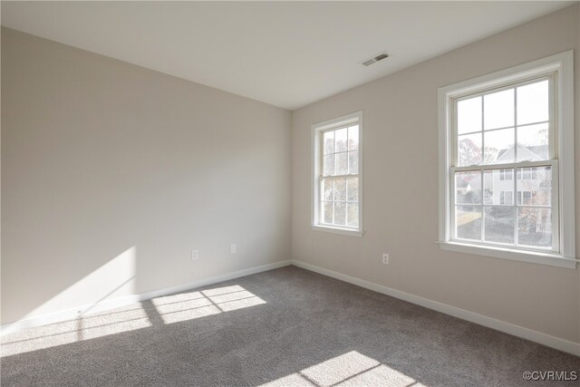 carpeted spare room with a healthy amount of sunlight