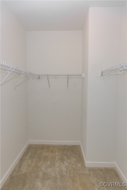 walk in closet with light carpet