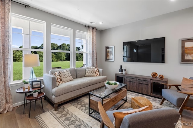 living room featuring a wealth of natural light and light hardwood / wood-style flooring