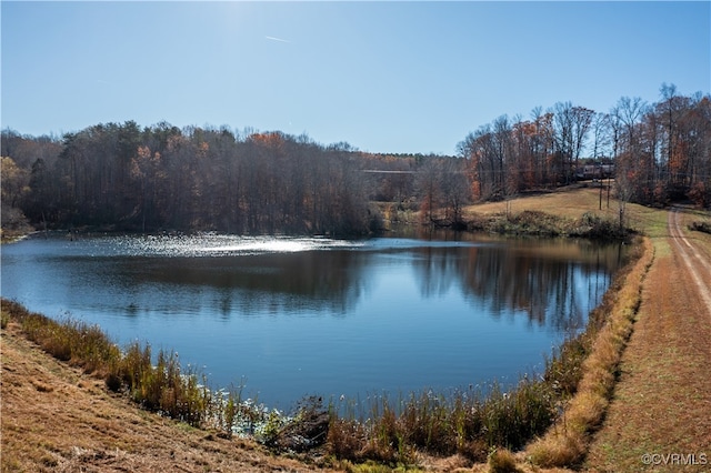 property view of water