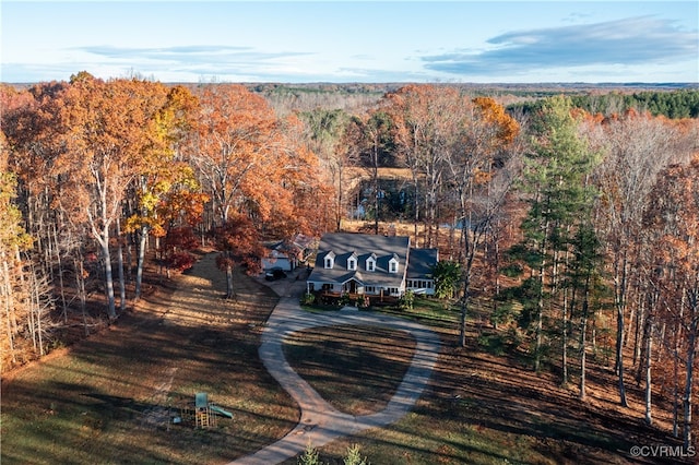 bird's eye view