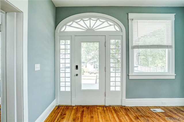 entryway featuring plenty of natural light and wood-type flooring