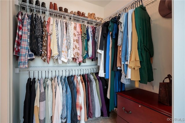 view of spacious closet