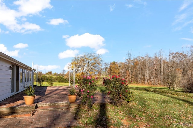 view of yard with a patio area