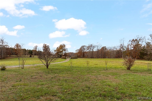 view of yard with a rural view