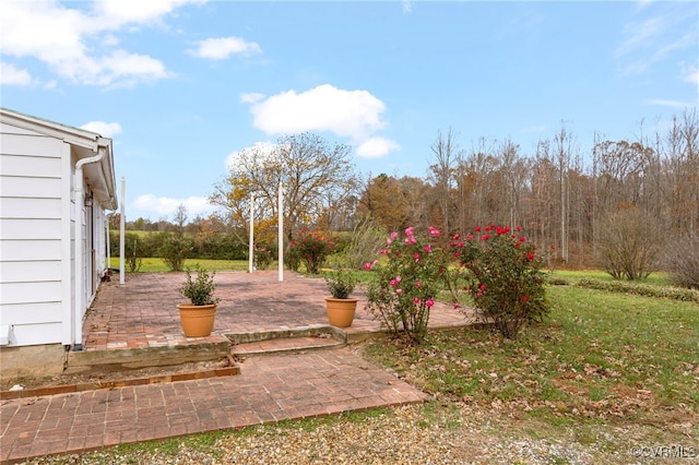 view of yard featuring a patio