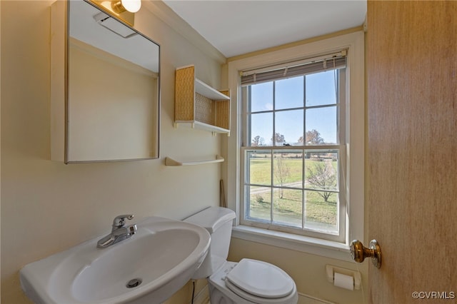 bathroom featuring toilet, a wealth of natural light, and sink