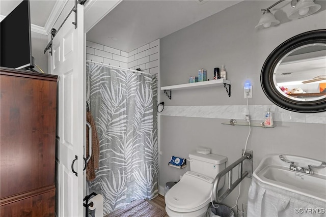 bathroom featuring hardwood / wood-style flooring, toilet, curtained shower, and sink