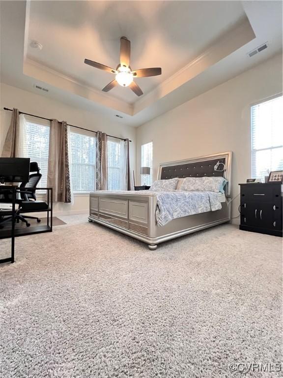 bedroom featuring a raised ceiling and ceiling fan