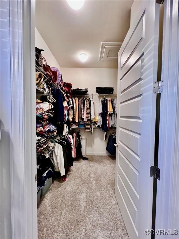 walk in closet with carpet flooring