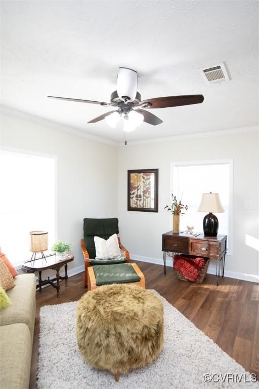 sitting room featuring dark wood-type flooring and ornamental molding