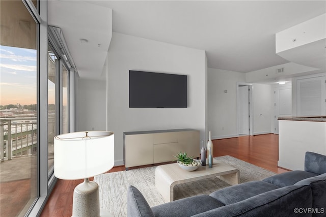 living room featuring wood-type flooring