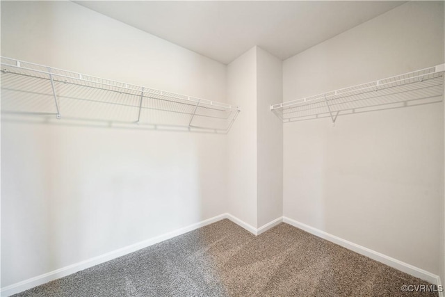 walk in closet featuring carpet flooring