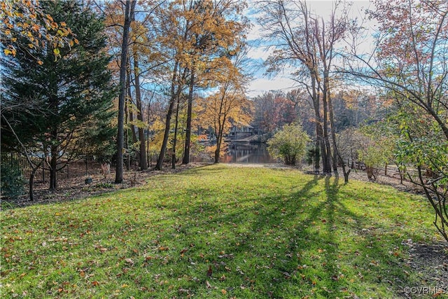 2303 Bream Dr, Chesterfield, VA 23113 - photo 9