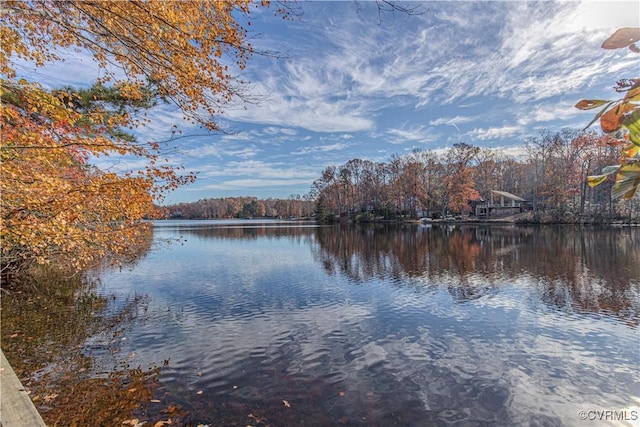 2303 Bream Dr, Chesterfield, VA 23113 - photo 10