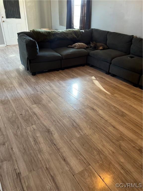 living room featuring light hardwood / wood-style flooring