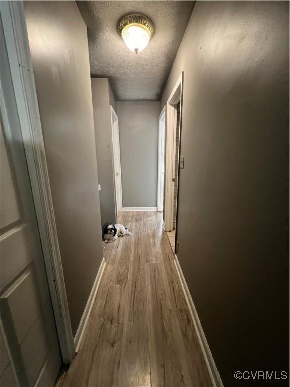 hallway with a textured ceiling and light wood-type flooring