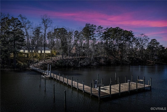 dock area with a water view