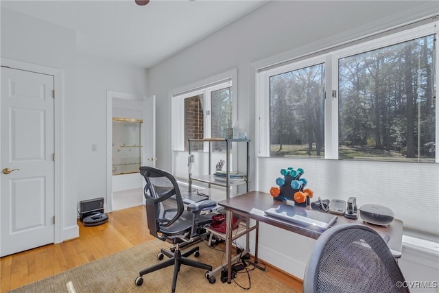 office space with hardwood / wood-style floors