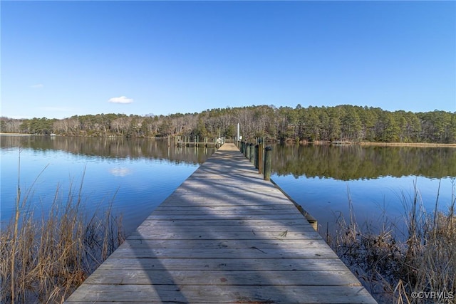 dock area with a water view