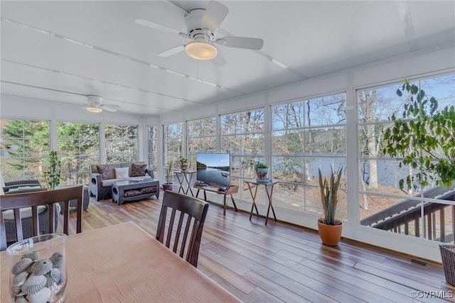 sunroom / solarium featuring plenty of natural light and ceiling fan