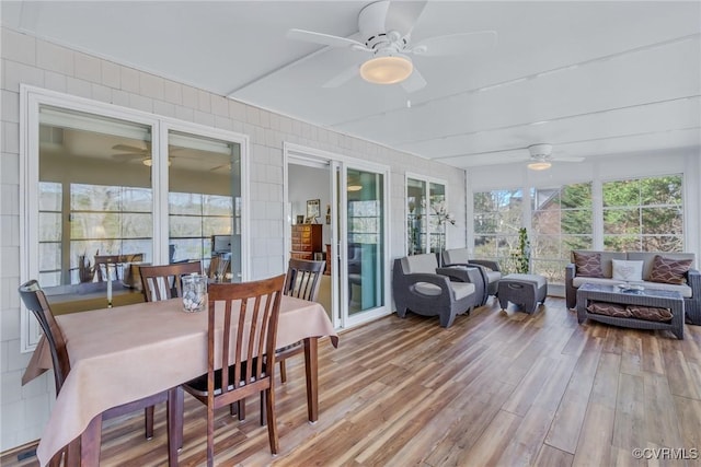 view of sunroom / solarium