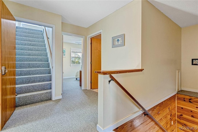 stairway featuring carpet