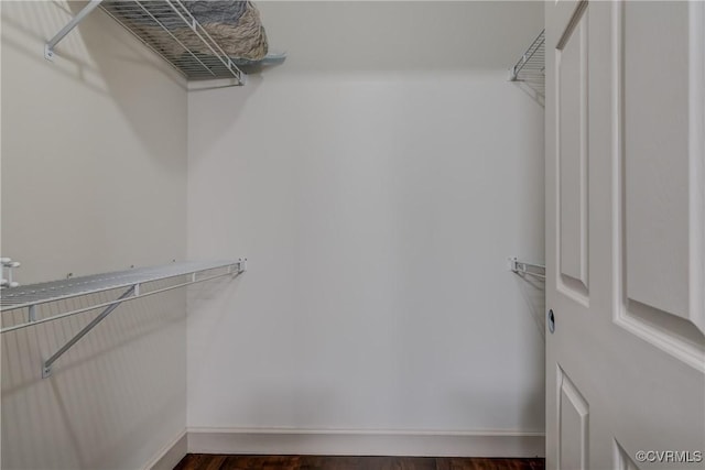 spacious closet with dark wood-type flooring