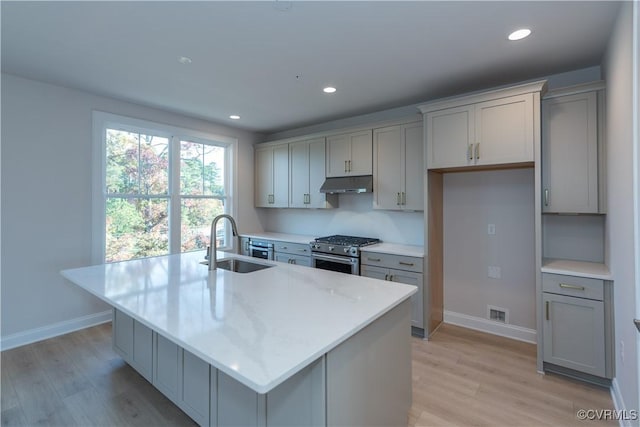 kitchen with sink, a center island with sink, gray cabinetry, and stainless steel gas range