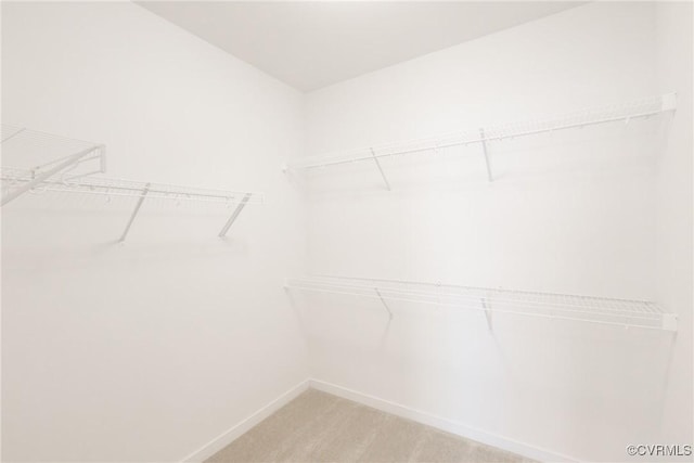 walk in closet with light carpet