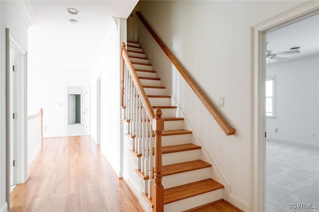 stairway with wood-type flooring, ceiling fan, and ornamental molding