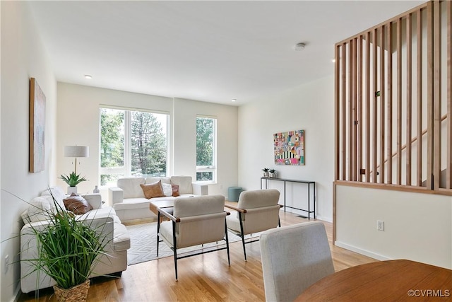 living room with light hardwood / wood-style floors