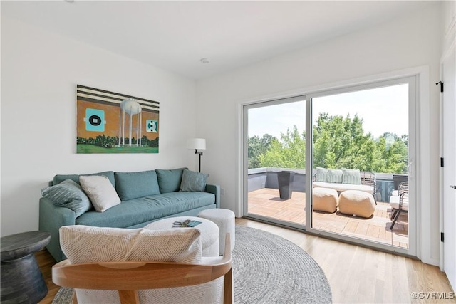 living room featuring a wealth of natural light and light hardwood / wood-style floors